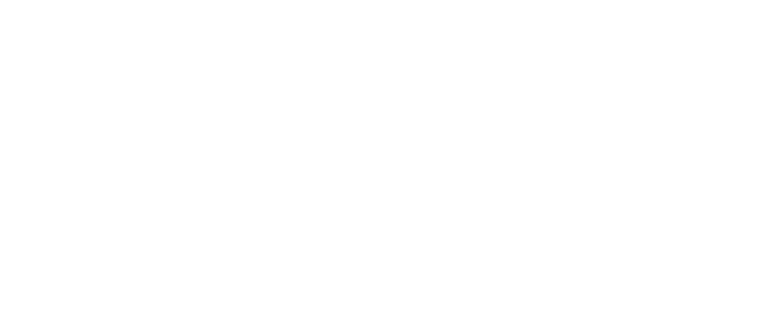 A&O Pflege